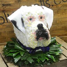 Boxer Dog 3D Head 