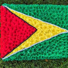 Guyana Flag 