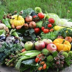 gardeners veg wreath