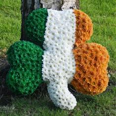 irish shamrock