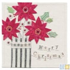 Merry Christmas Poinsettia