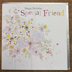 Happy Birthday Special Friend