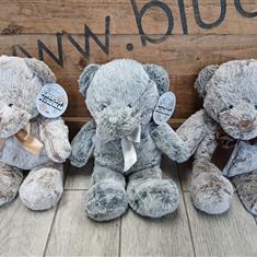 Soft Cuddly Assorted Teddy Bear