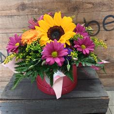 Summer Brights Hatbox